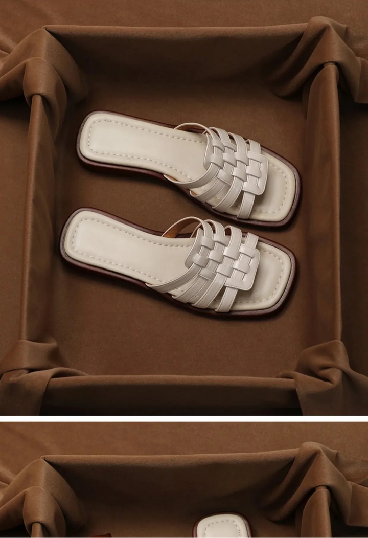 Duttini | Slides