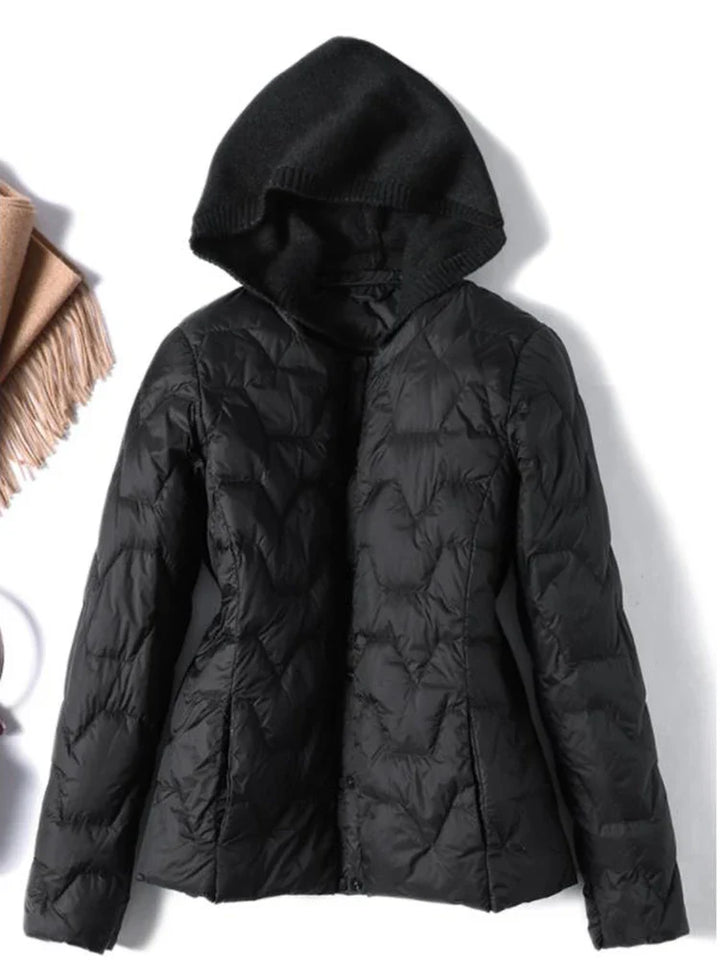Duttini | Hooded Jacket