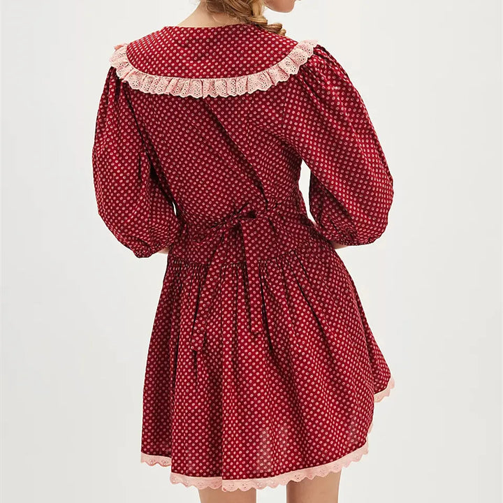 Duttini | Lace Collar Mini Dress
