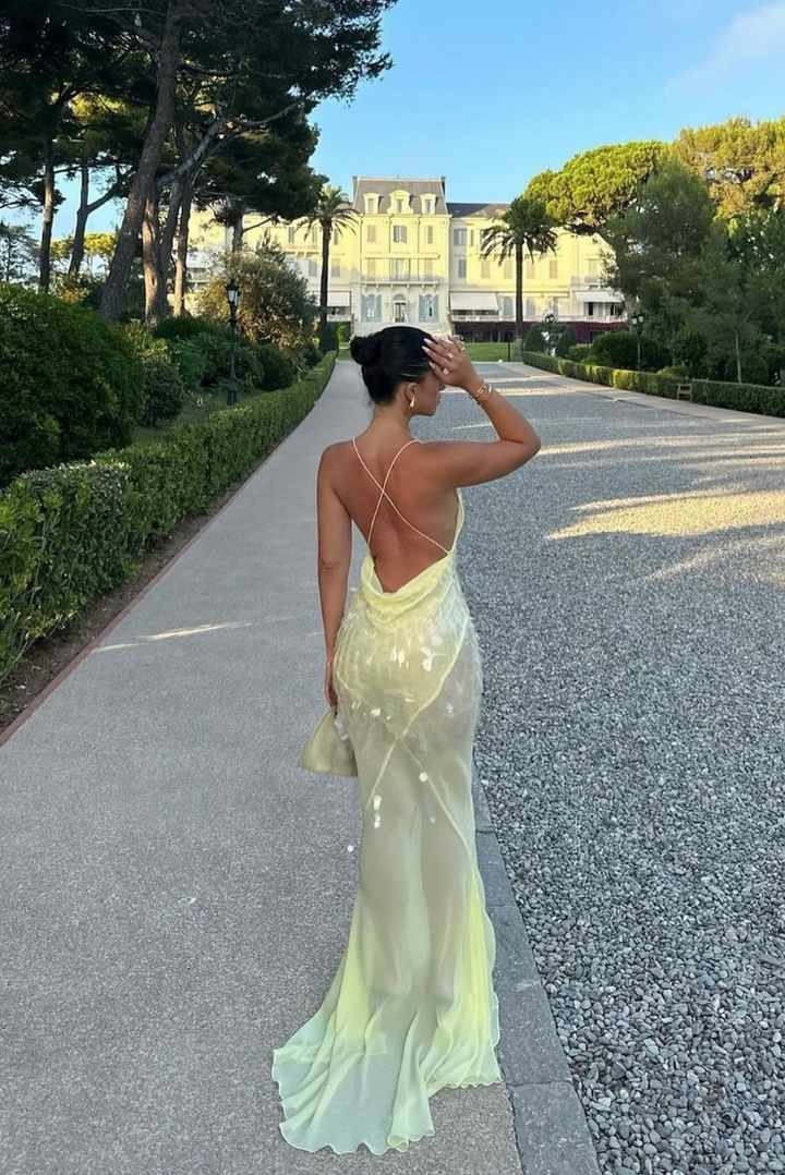 Duttini | Sequin Feathered Texture Maxi Dress